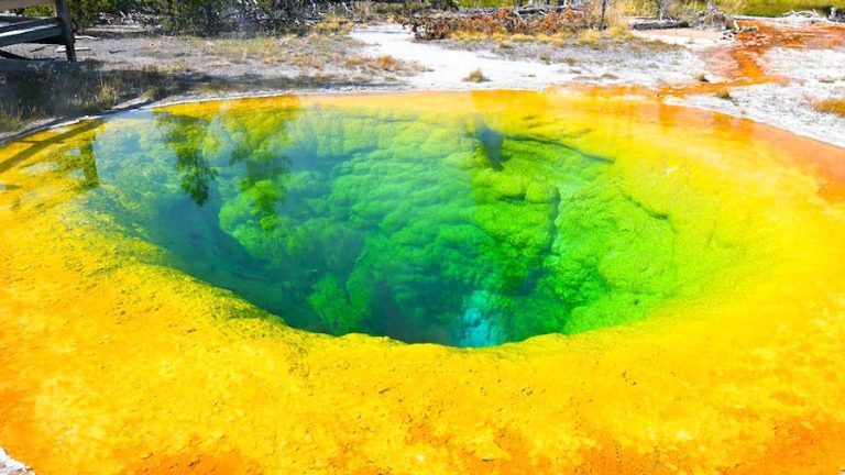 Is Yellowstone a safe place to visit?