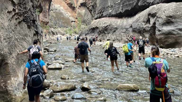 Unlocking the Narrows: A Beginner’s Guide to Zion’s Spectacular Hike