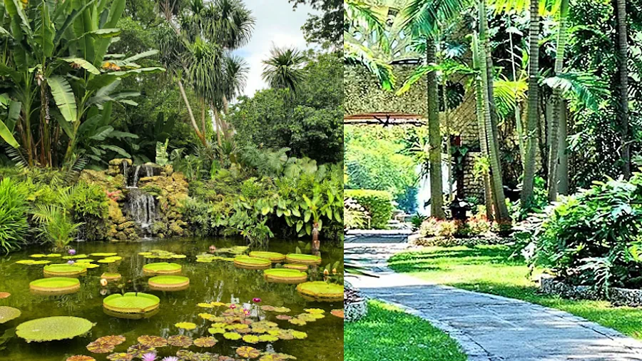 Miami's Exquisite Gardens